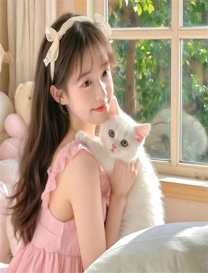 圣诞节订婚讲了什么故事？完整剧情详细介绍，完整版